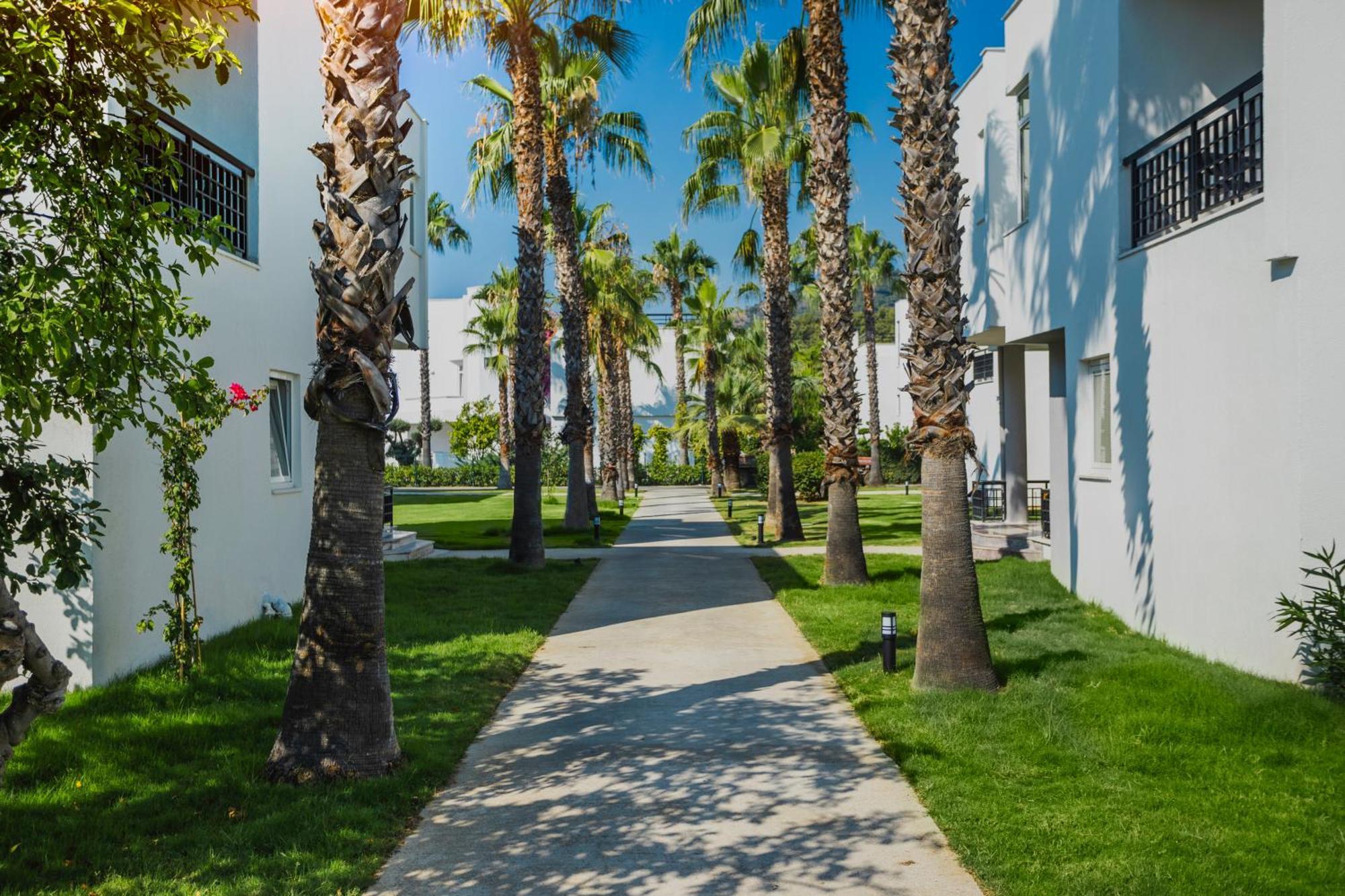 Simena Comfort Hotel Kemer Ngoại thất bức ảnh